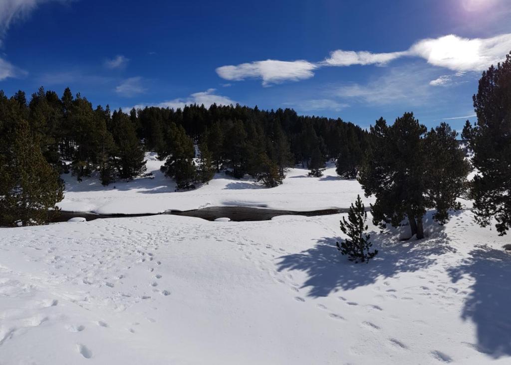 Chalet La Campagnette Eyne Bagian luar foto